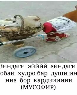 boboevahmad5@gmail.com — фото 2