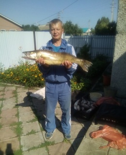 Дмитрий — фото 7