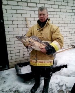 Дмитрий — фото 2