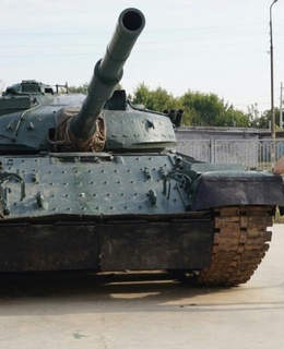 Владимир — фото 8