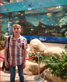 Sergio — фото 3